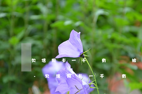 欠信用卡一千沒有還會被執(zhí)行嗎-欠信用卡一千沒有還會被執(zhí)行嗎知乎