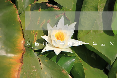 欠信用卡一塊錢一年后(欠信用卡一年多)