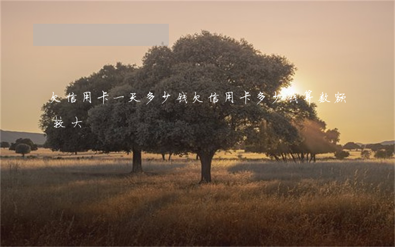 欠信用卡一天多少钱 欠信用卡多少钱算数额较大