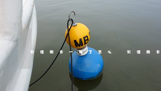 欠信用卡一年了怎么辦(欠信用卡一年了怎么辦)