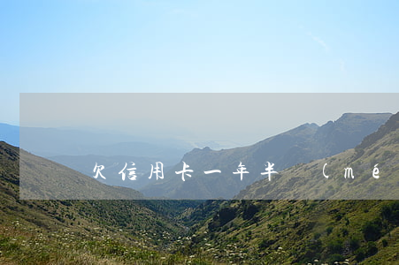 欠信用卡一年半沒(méi)還了