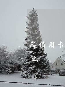 欠信用卡一年后(欠信用卡一年了,被起訴了怎么辦)