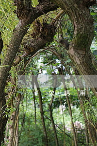 欠信用卡一年多了打電話說上門-