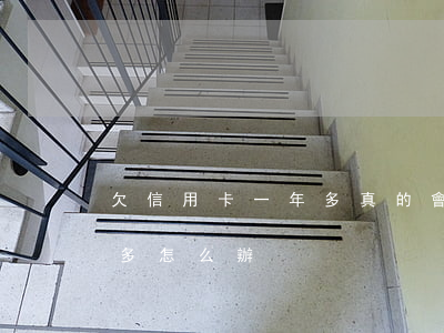 欠信用卡一年多真的會逮捕嗎（欠信用卡一年多怎么辦）