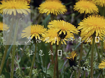 欠信用卡一年怎么還清(欠信用卡一年了還不上怎么辦)