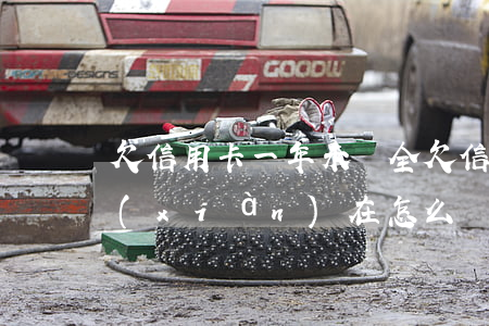 欠信用卡一年未還全(欠信用卡1年沒還了,現(xiàn)在怎么協(xié)商還款)