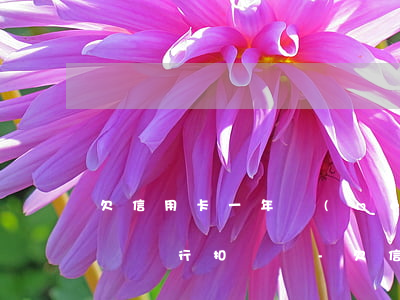 欠信用卡一年沒(méi)還會(huì)從銀行扣錢嗎-欠信用卡一年沒(méi)還會(huì)從銀行扣錢嗎怎么辦
