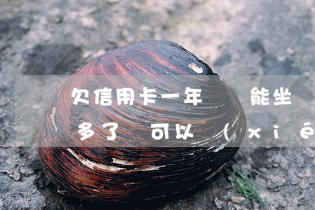 欠信用卡一年沒還能坐飛機嗎 欠信用卡1年多了還可以協(xié)商分期嗎
