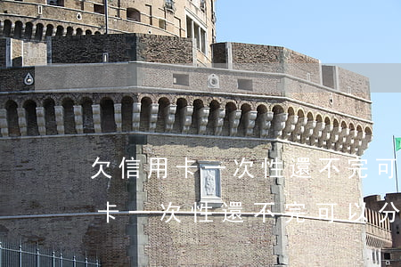 欠信用卡一次性還不完可以分期嗎-欠信用卡一次性還不完可以分期嗎怎么辦