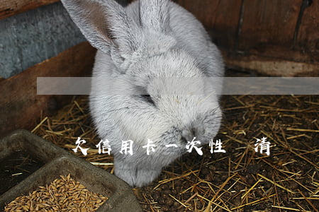 欠信用卡一次性還清