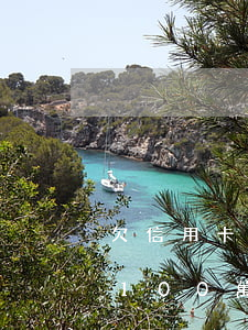 欠信用卡一百萬(wàn)想自殺(欠信用卡100萬(wàn))