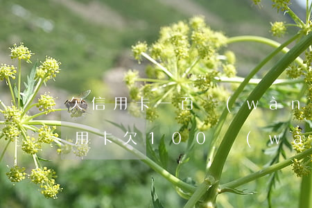 欠信用卡一百萬(wàn)被判十年（男子信用卡欠100萬(wàn)）