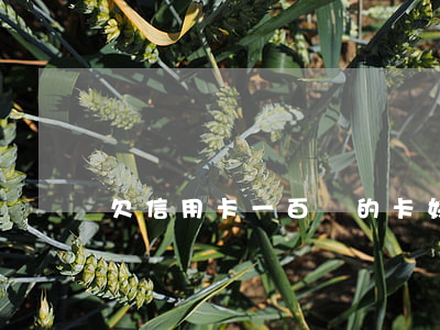 欠信用卡一百萬的卡奴