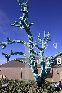 欠信用卡一直不還會(huì)坐牢嗎(欠信用卡錢不還會(huì)坐牢嗎)