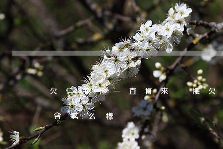 欠信用卡一直打來沒接(欠信用卡打電話不接會怎么樣)