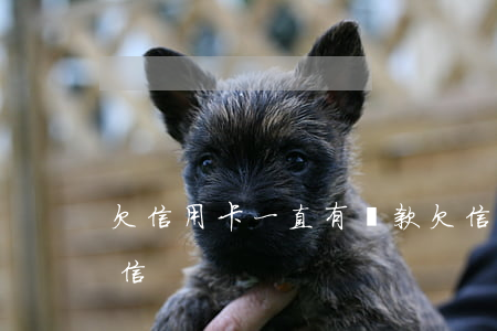 欠信用卡一直有還款(欠信用卡一直有還款短信)