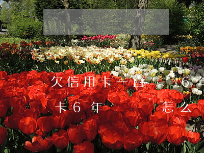 欠信用卡一直沒還6年后還可以嗎-欠信用卡6年沒還會怎么樣