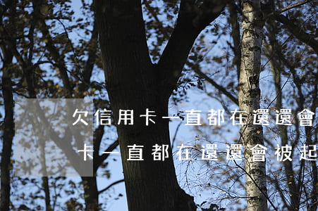 欠信用卡一直都在還還會被起訴嗎-欠信用卡一直都在還還會被起訴嗎怎么辦