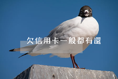 欠信用卡一般都有還