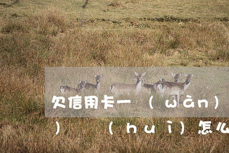 欠信用卡一萬(wàn)一逾期沒(méi)還會(huì)怎么樣-欠信用卡一萬(wàn)一逾期沒(méi)還會(huì)怎么樣嗎