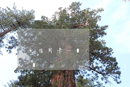 欠信用卡一萬(wàn)他們會(huì)過(guò)來(lái)嗎(欠信用卡一萬(wàn)會(huì)怎么樣)