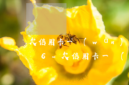 欠信用卡一萬(wàn)元會(huì)怎樣6-欠信用卡一萬(wàn)多會(huì)怎么樣