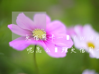 欠信用卡一萬(wàn)元沒(méi)還呢怎么處理（欠信用卡一萬(wàn)元沒(méi)還呢）