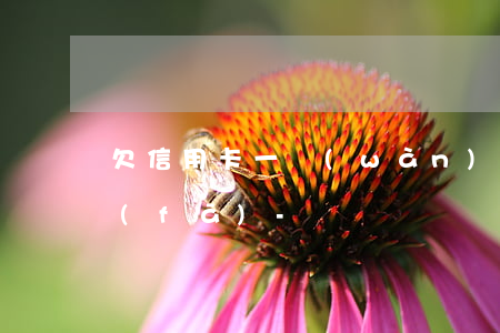 欠信用卡一萬(wàn)多逾期一年了廣發(fā)-