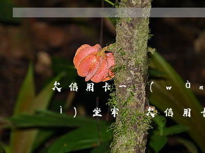 欠信用卡一萬(wàn)逾期一年會(huì)坐牢嗎 欠信用卡一萬(wàn)判幾年