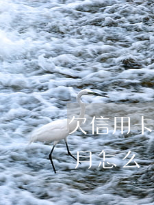 欠信用卡一萬(wàn)逾期五個(gè)月怎么辦理(欠信用卡1萬(wàn)86個(gè)月沒(méi)還)