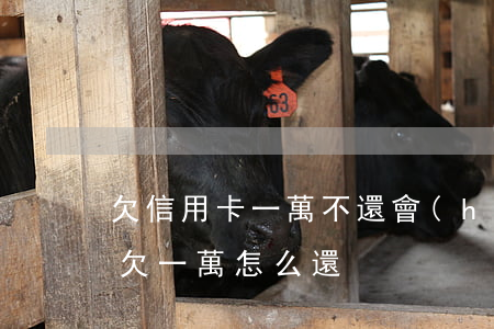 欠信用卡一萬不還會(huì)怎樣（信用卡欠一萬怎么還）