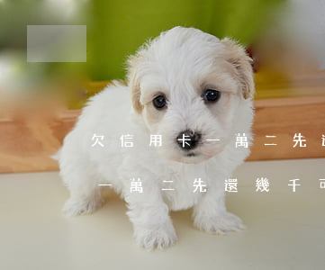 欠信用卡一萬二先還幾千可以嗎-欠信用卡一萬二先還幾千可以嗎知乎