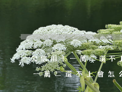 欠信用卡一萬二還不上會怎么樣-欠信用卡一萬二還不上會怎么樣嗎