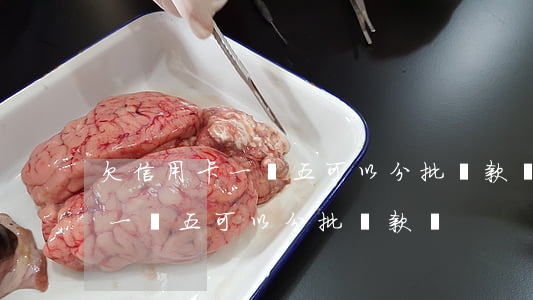 欠信用卡一萬五可以分批還款嗎-欠信用卡一萬五可以分批還款嗎