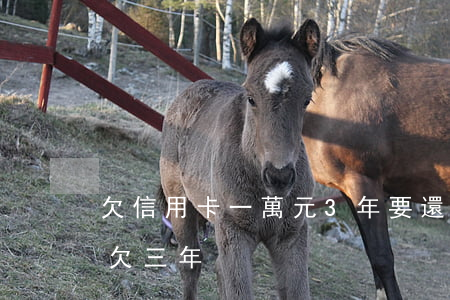 欠信用卡一萬元3年要還多少（信用卡一萬塊欠三年）