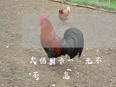欠信用卡一萬元不還會怎樣(欠信用卡一萬元不還會怎樣)