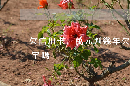 欠信用卡一萬元判幾年(欠信用卡一萬多要坐牢嗎)