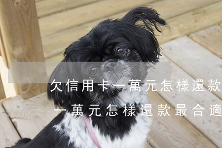 欠信用卡一萬元怎樣還款最合適-欠信用卡一萬元怎樣還款最合適呢