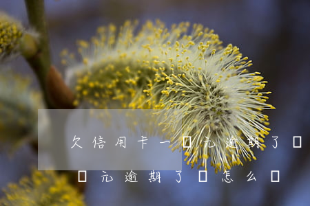 欠信用卡一萬元逾期了會怎么樣(欠信用卡一萬元逾期了會怎么樣)