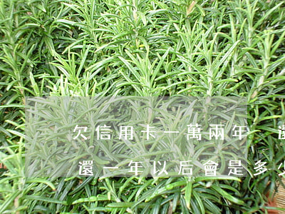 欠信用卡一萬兩年沒還 欠信用卡一萬塊錢不還,一年以后會是多少
