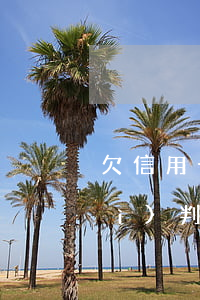 欠信用卡一萬判幾年(欠信用卡一萬會(huì)判刑嗎)