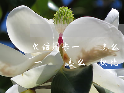 欠信用卡一萬塊怎么還款比較好-欠信用卡一萬塊怎么還款比較好呢