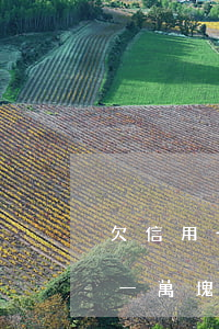 欠信用卡一萬塊會不會開支扣錢-欠信用卡一萬塊會不會開支扣錢呢