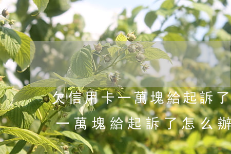 欠信用卡一萬塊給起訴了怎么辦-欠信用卡一萬塊給起訴了怎么辦呢