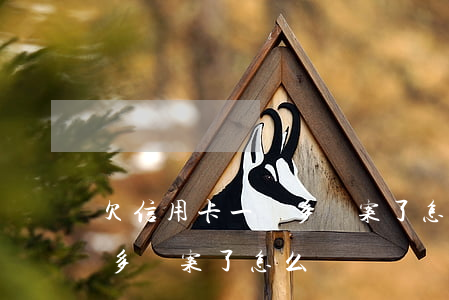 欠信用卡一萬多報案了怎么辦 欠信用卡一萬多報案了怎么辦