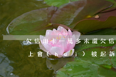 欠信用卡一萬多未還 欠信用卡一萬塊錢還不上會(huì)被起訴嗎