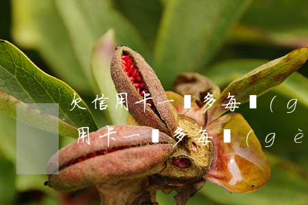 欠信用卡一萬多每個(gè)月還幾百(欠信用卡一萬多每個(gè)月還幾百)