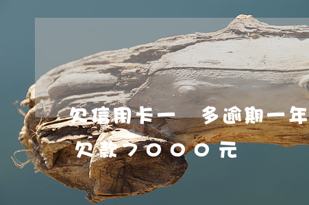 欠信用卡一萬多逾期一年了（信用卡逾期一年欠款7000元）