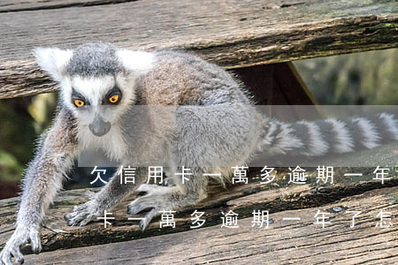 欠信用卡一萬多逾期一年了怎么還-欠信用卡一萬多逾期一年了怎么還清