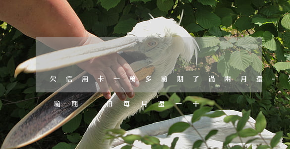 欠信用卡一萬多逾期了過兩月還-欠信用卡逾期別怕每月還一千